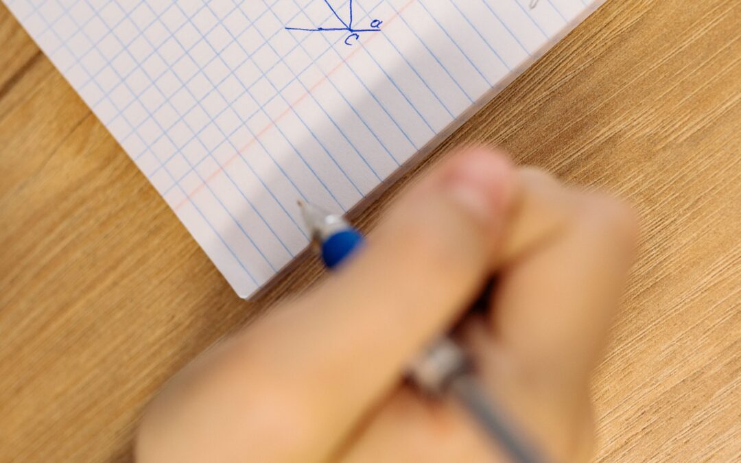 Leerlingen van het Marnix Gymnasium gooien hoge ogen bij de Kangoeroewedstrijd!